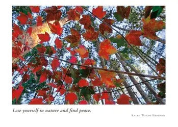 Sympathy Card - Autumn's First Color