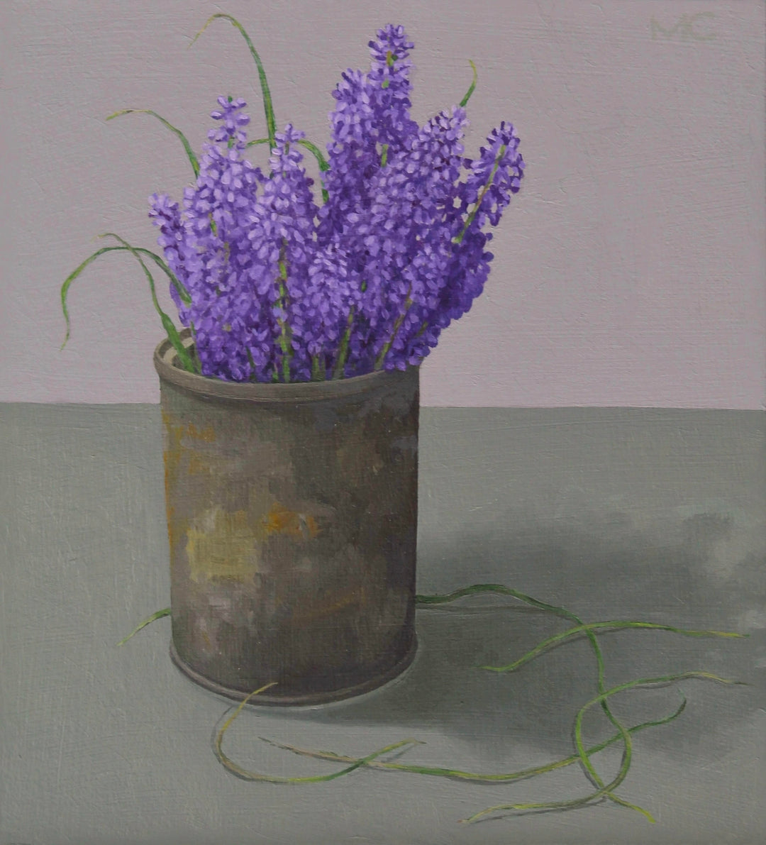 Grape Hyacinth