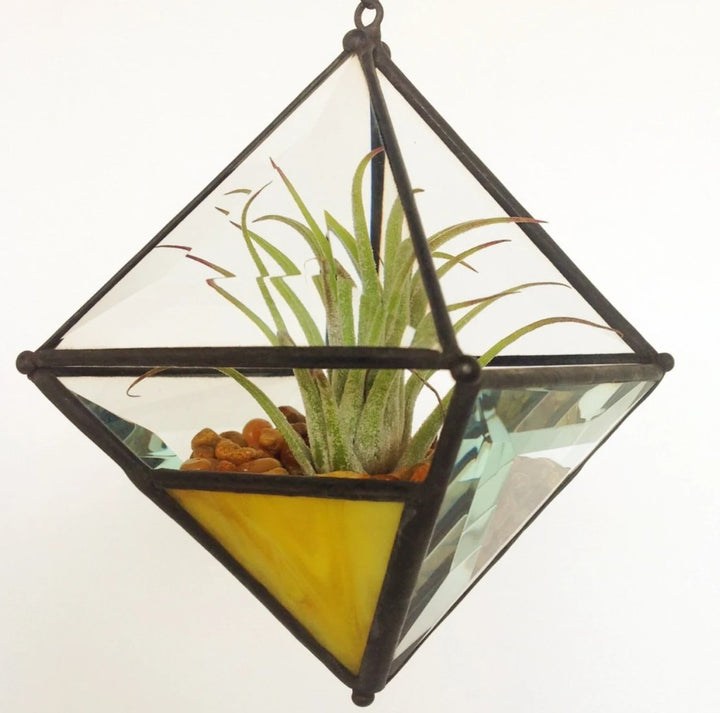 Hanging Pyramid Terrarium Yellow