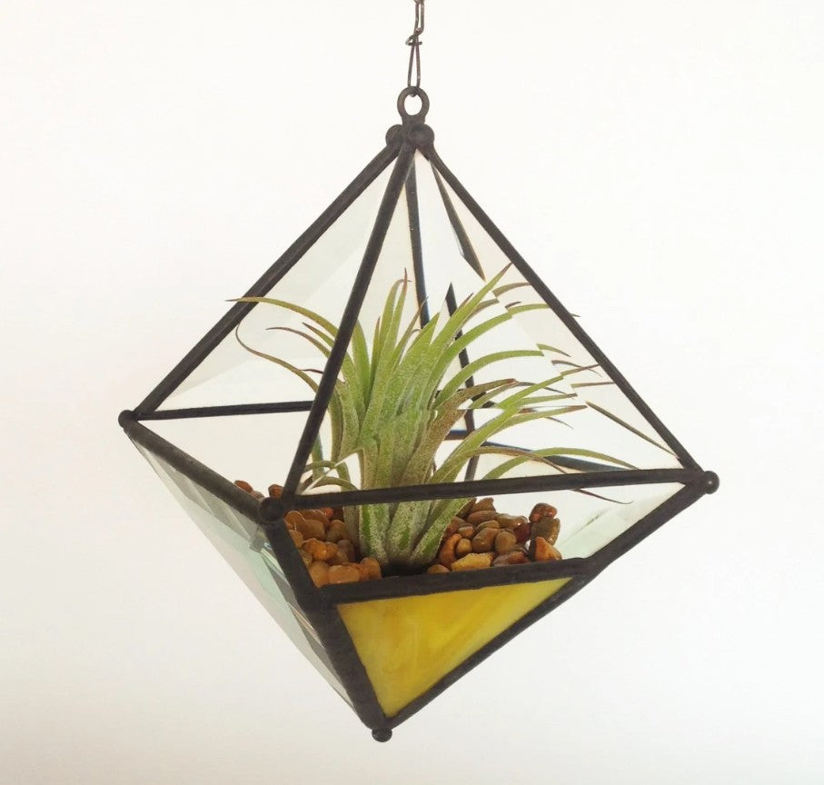 Hanging Pyramid Terrarium Yellow