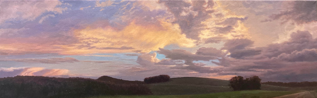 Summer Evening after a Storm