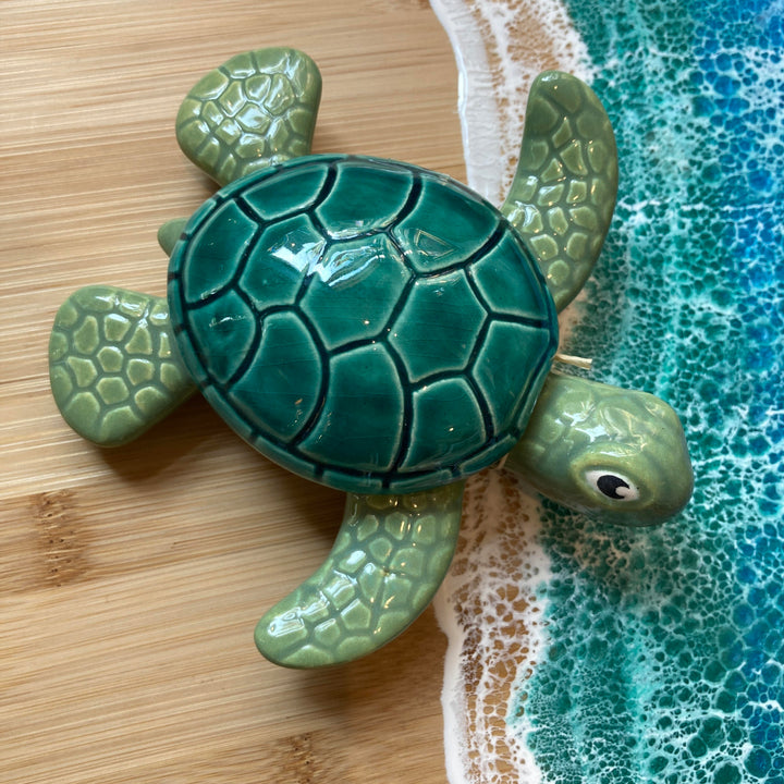 Box Sea Turtle Green