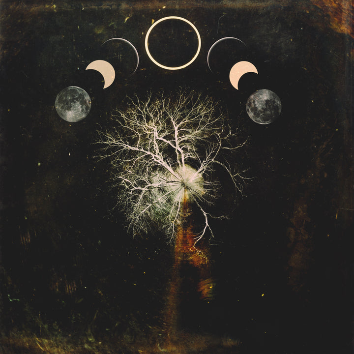 Special Edition: Circle Trees Eclipse (Unframed Print)