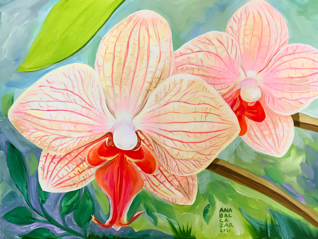 Pair of Orchids