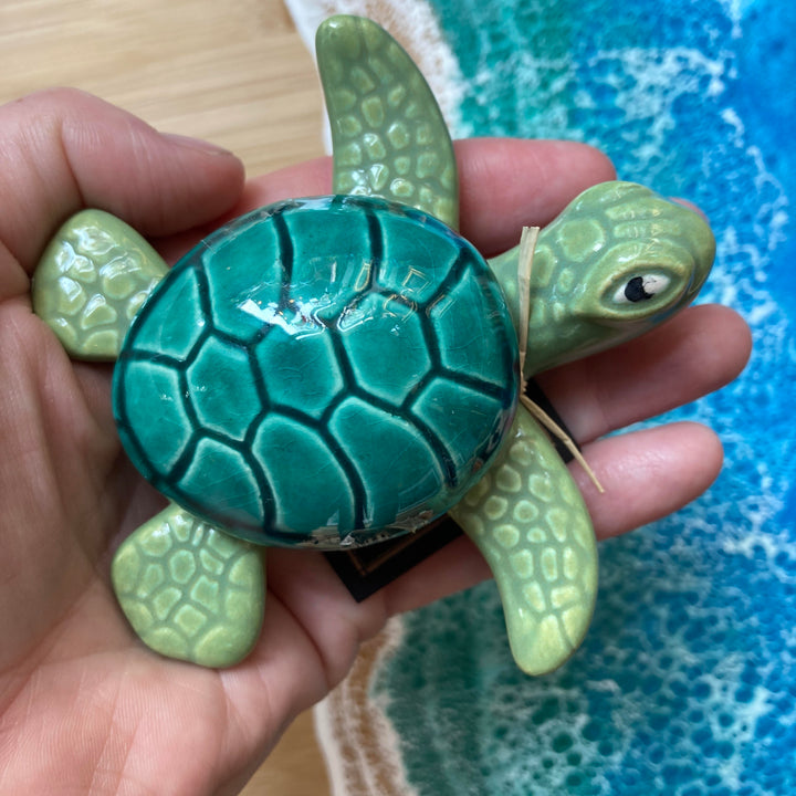 Box Small Sea Turtle Green