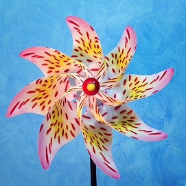 Pinwheel Spotted Lily